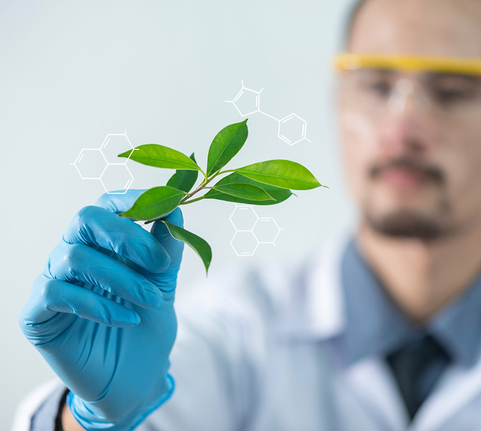 研發(fā)創(chuàng)新